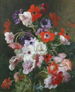 花の静物